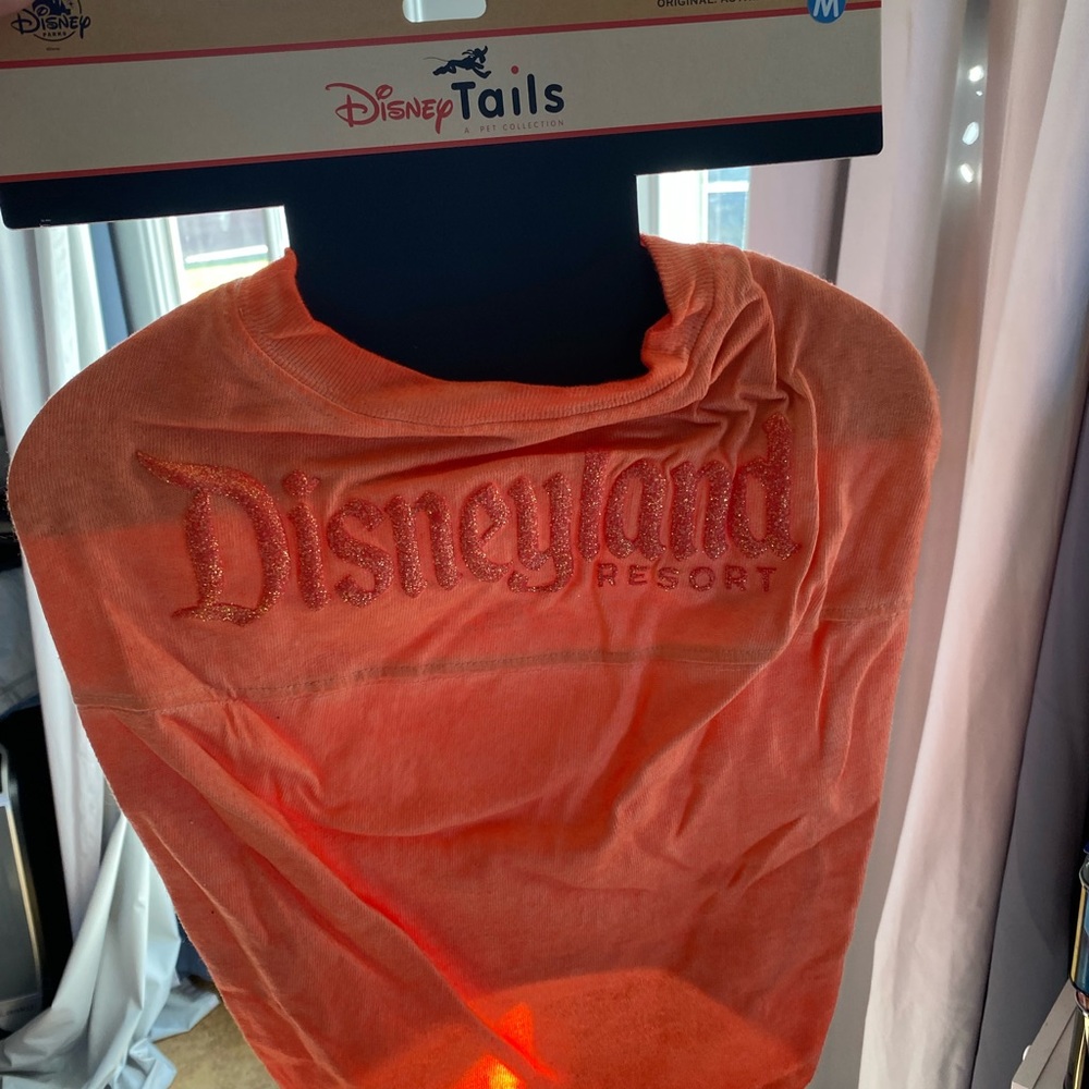 Disney pets spirit jersey